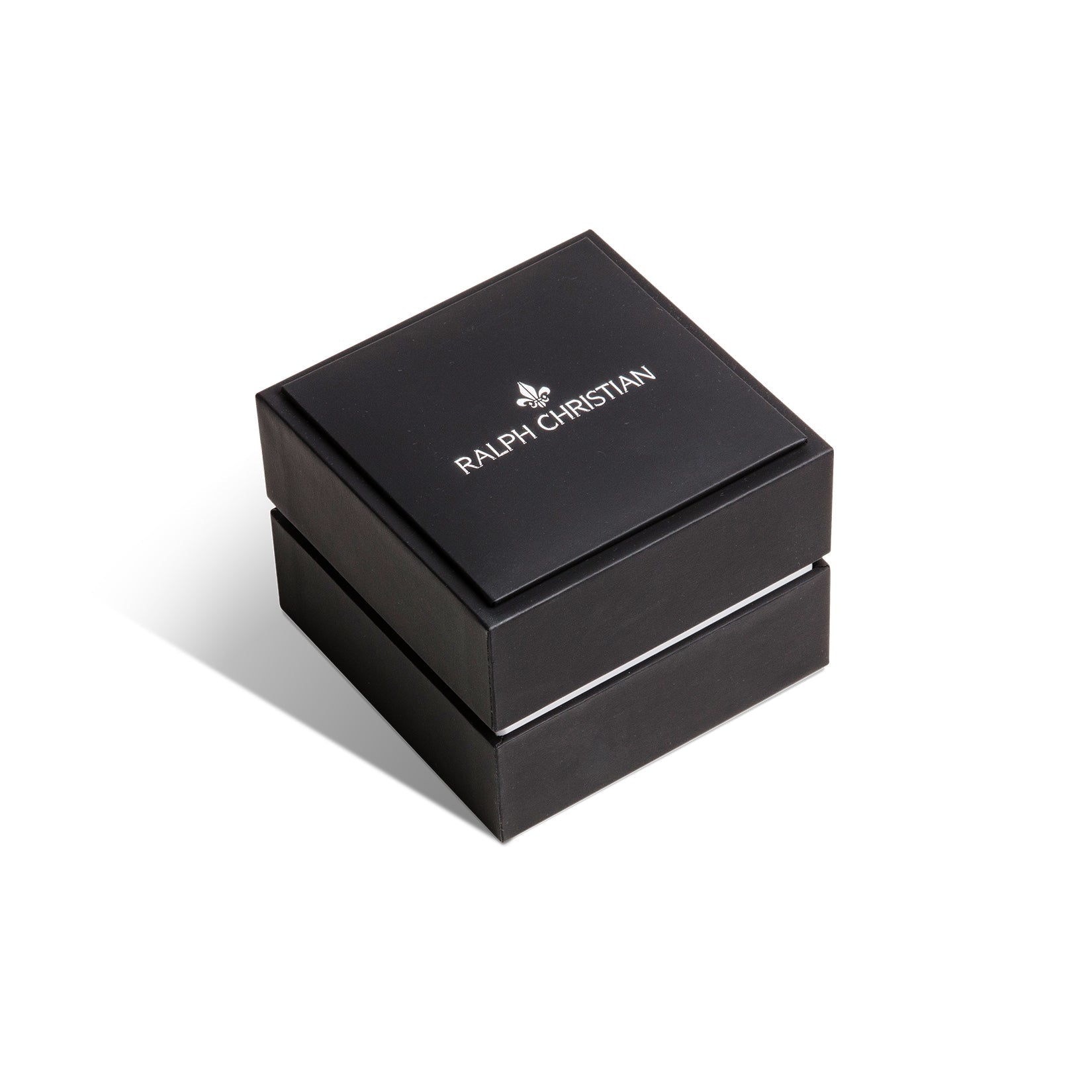 The Avalon Automatic Watch + Mesh Strap