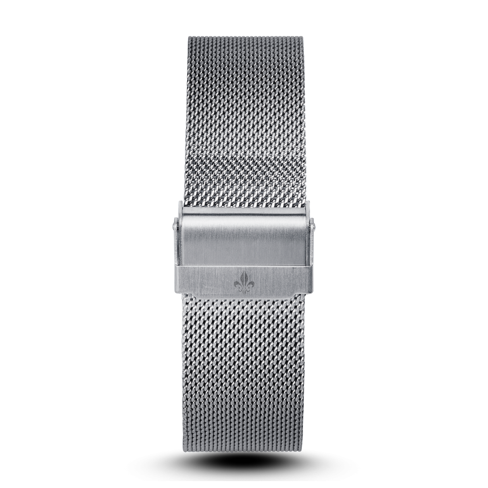 The Avalon Automatic Watch + Mesh Strap